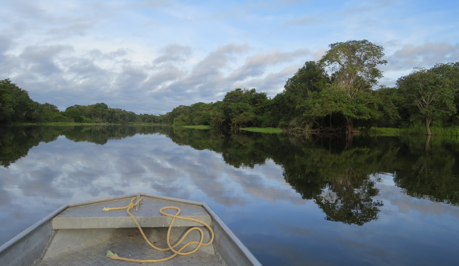 Amazonas