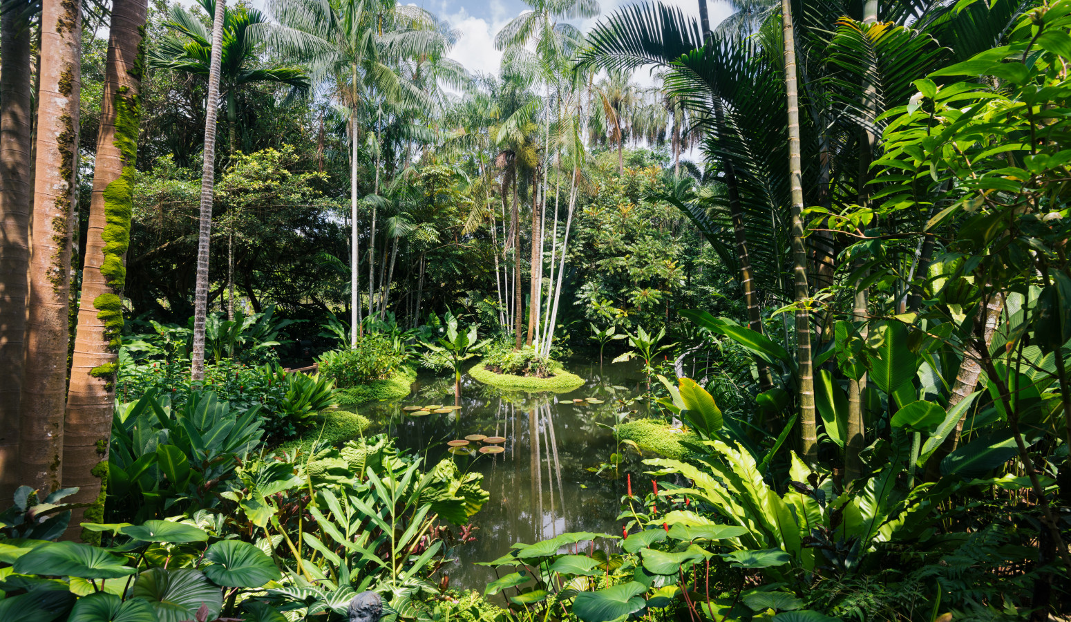 Jardín Botánico