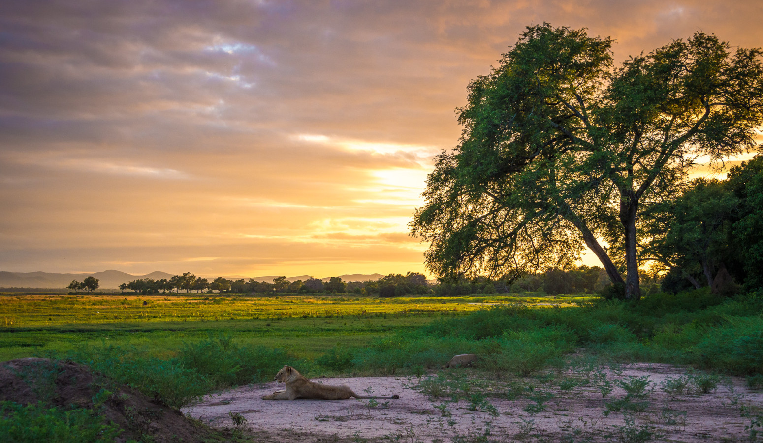 Mana Pools
