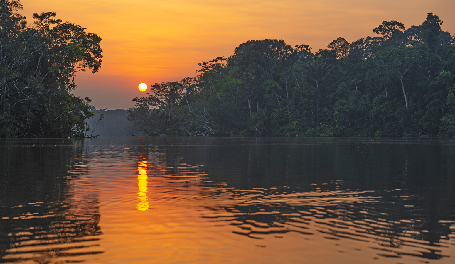 Parque Nacional Yasuní