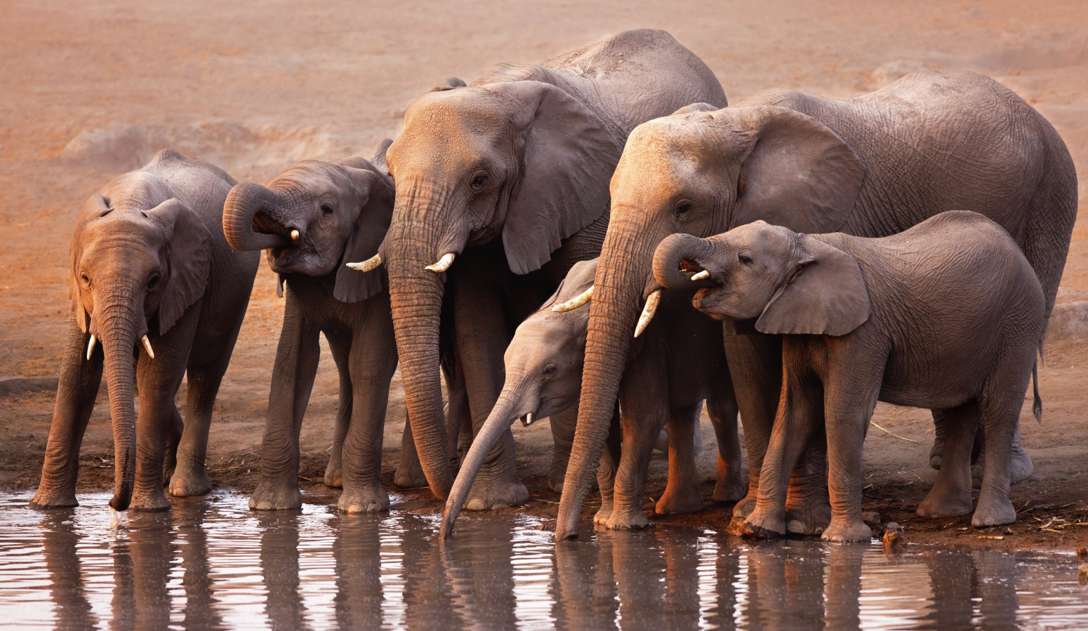 Parque Nacional Etosha
