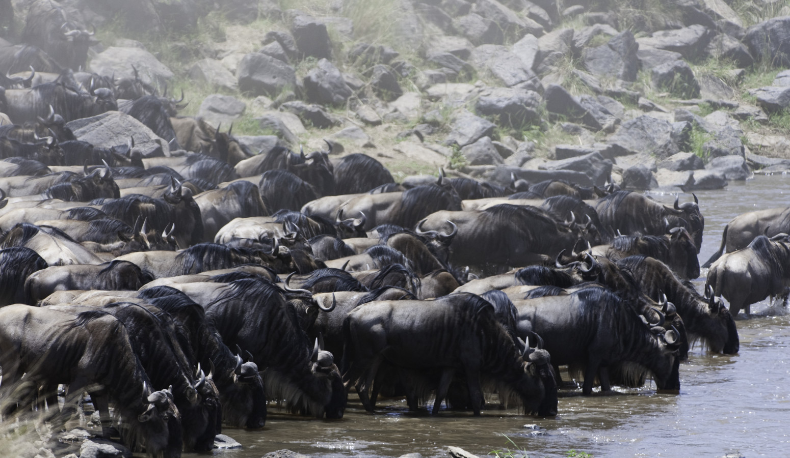 Masai Mara