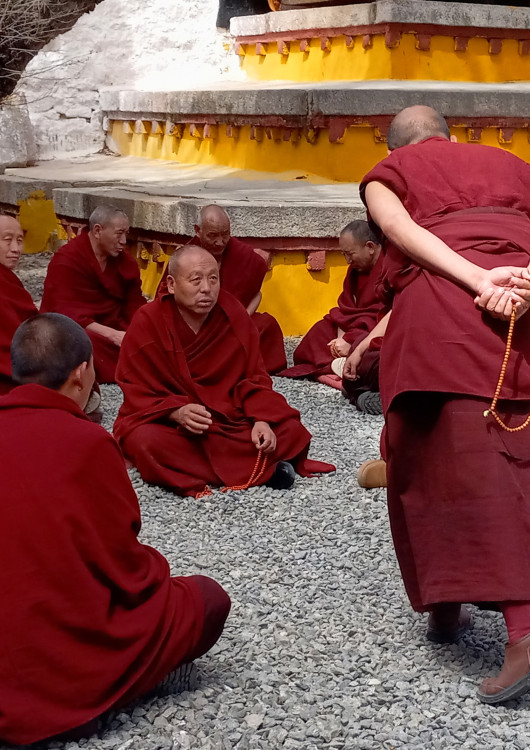 Debate de monjes en Sera
