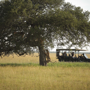 Tanzania
