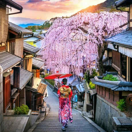 Descubre Viaje Grupal a Japón 2026