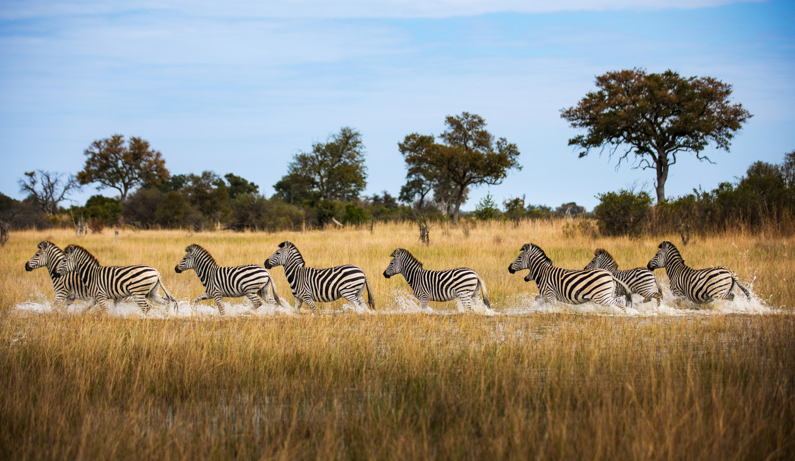 Delta del Okavango