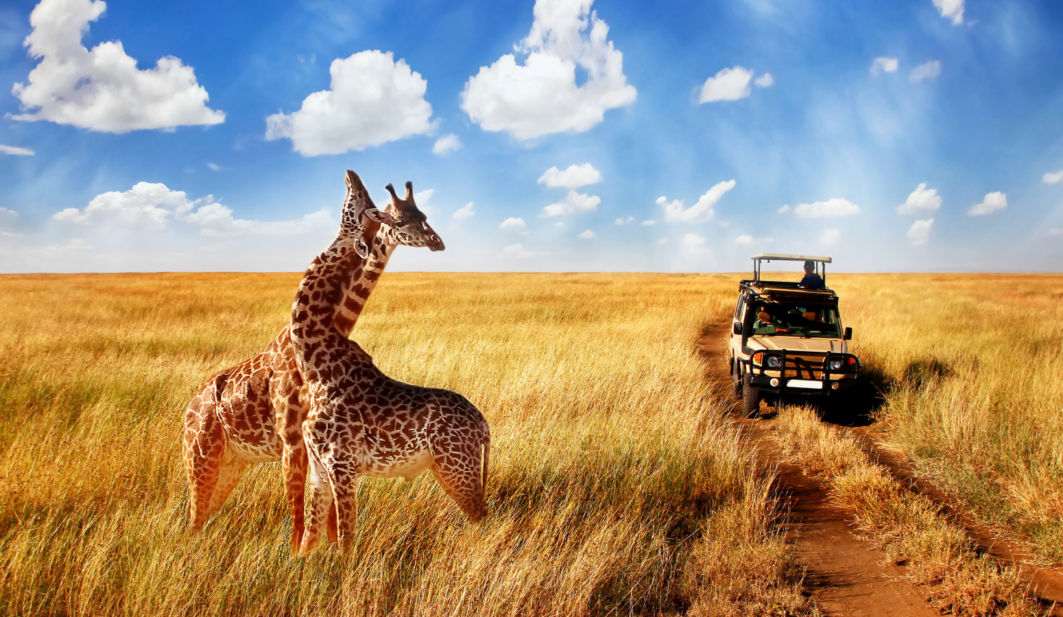 Reserva Cráter del Ngorongoro