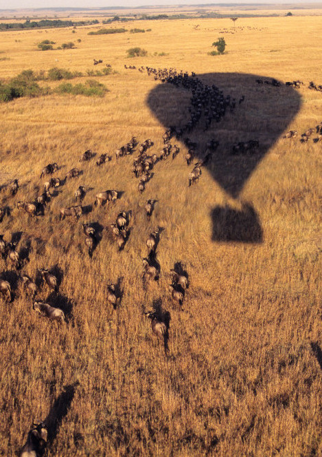 Vuelo en globo 