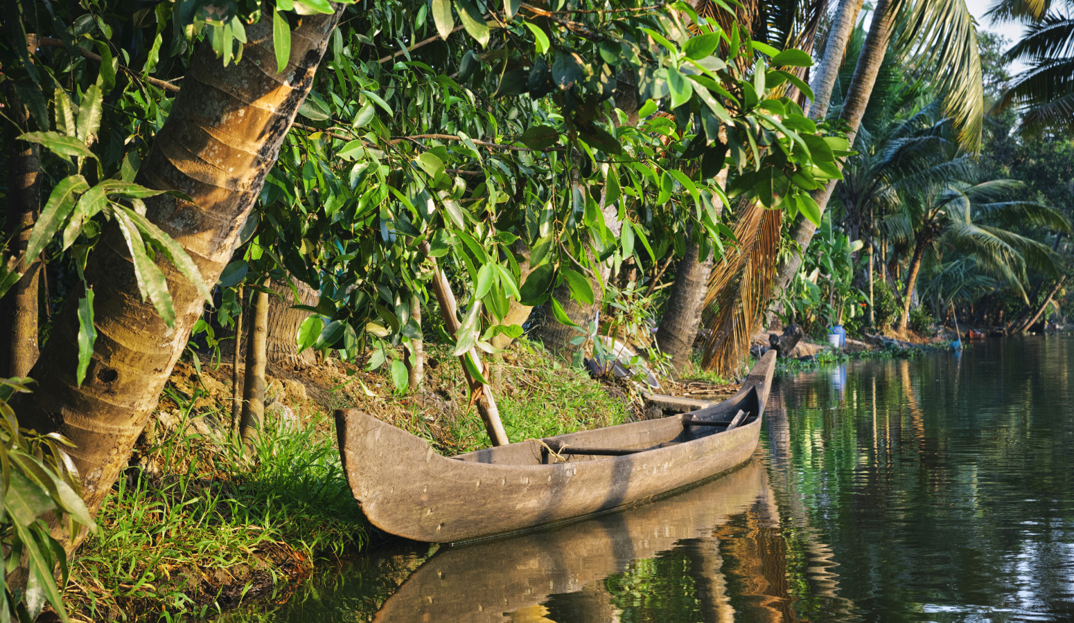 Kerala y el sur