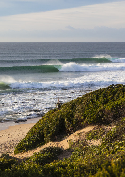 Surf Trip