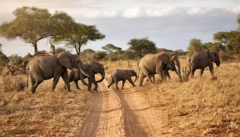 Imagen de continente África