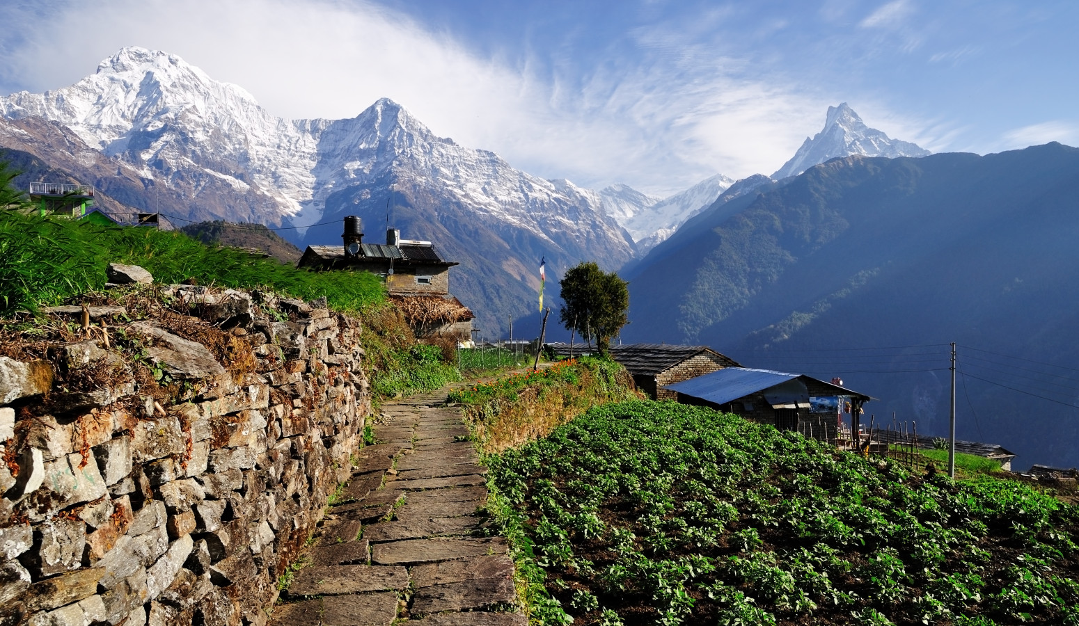  Pokhara y Annapurnas