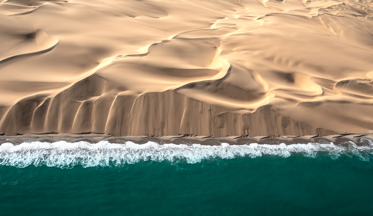 Skeleton Coast