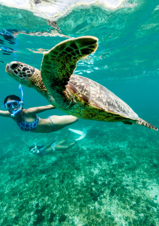 Buceo en Galápagos 