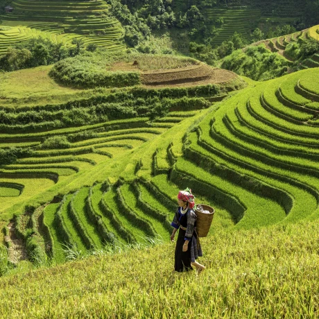 Descubre Vietnam, Camboya y Tailandia