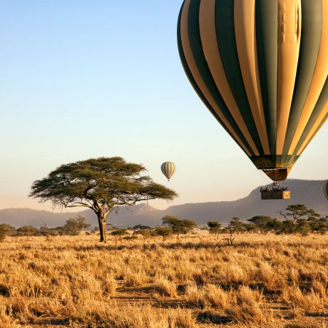 Descubre Viaje Grupal a Tanzania 2026