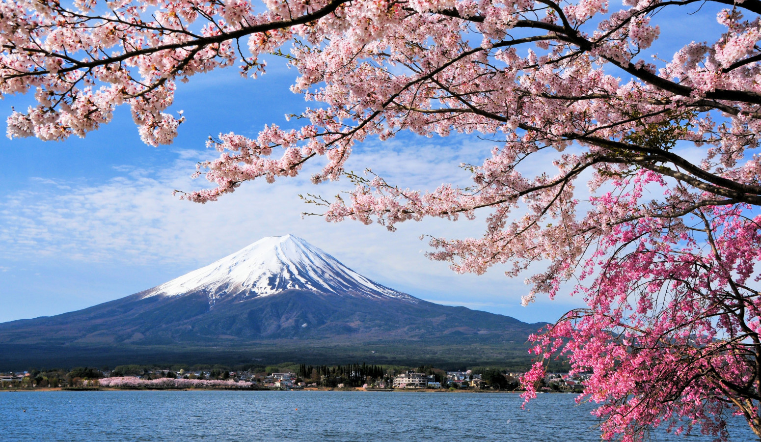 Hakone y el Monte Fuji