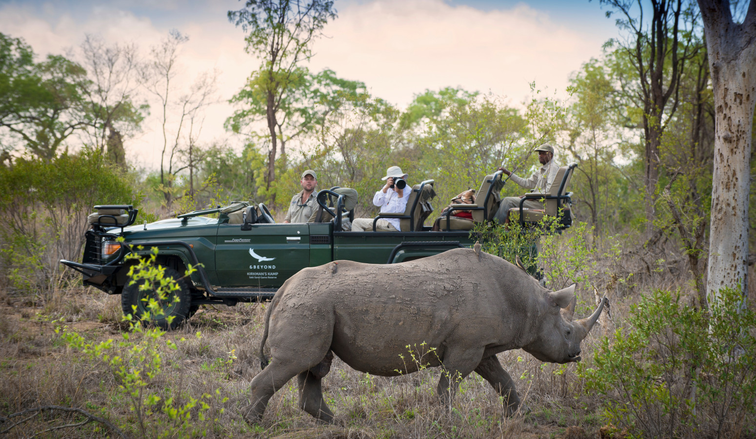 Gran Area del Kruger