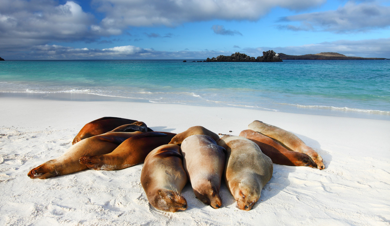 Islas Galápagos